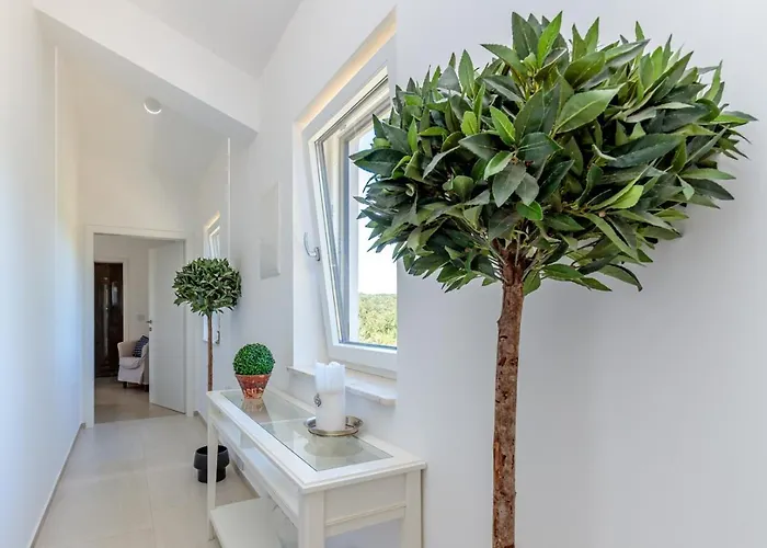 Luxury Valhalla With Private Pool Villa Barat (Rovinj)